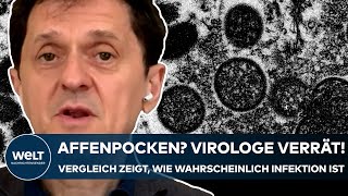 AFFENPOCKEN Virologe verrät Dieser Vergleich zeigt wie wahrscheinlich eine Infektion wirklich ist [upl. by Varion]