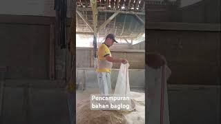 Pencampuran bahan2 baglogshorts petanijamur budidayajamur [upl. by Aihsemaj683]