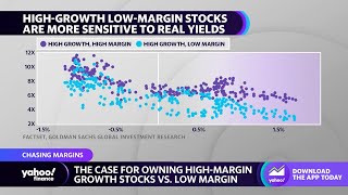 Goldman Sachs recommends highmargin growth stocks [upl. by Enamrahs]