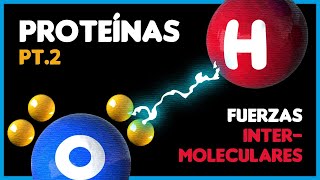 Estructura de proteínas  FUERZAS INTERMOLECULARES [upl. by Mccarthy]