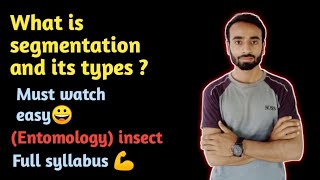 Segmentation And Its Types in insects  Entomology  Asim zoologist [upl. by Nayr529]