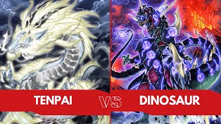 YuGiOh Locals Live Tenpai VS Dino deck [upl. by Merth63]