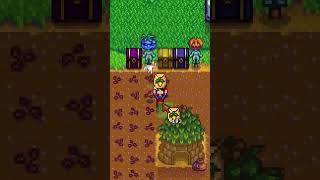 Avoid This Stardew Valley Mistake [upl. by Shih542]