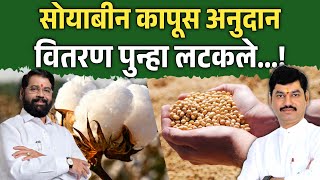 Soybean cotton subsidy allocation postponed again  Bhavantar Yojana  Soyabean Kapus Anudan [upl. by Jessica]