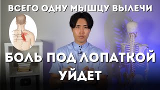 Одну мышцу вылечи и боль под лопаткой пройдет 3 лучших способа [upl. by Trilbie]