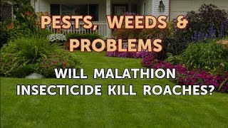 Will Malathion Insecticide Kill Roaches [upl. by Grote]