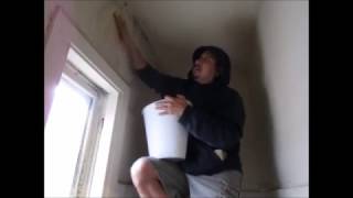 Killing the Mold on closet walls [upl. by Atteinotna]