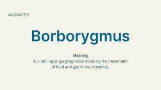 Borborygmus Pronunciation and Meaning [upl. by Webb]