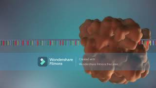 DNA Replication Animation [upl. by Enyalb]