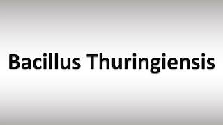 How to Pronounce Bacillus Thuringiensis [upl. by Anniram]