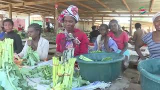 President HICHILEMA set for Parley [upl. by Nylla]