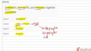 Liverworts hornworts and mossess together constitute [upl. by Eillat]