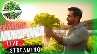 Tu Primer Cultivo Hidropónico en Vivo Aprende y Cosecha desde Casa [upl. by Butterworth127]