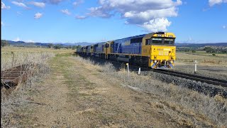 Pacific National 9535 locos 8215 8249 8255 8233 empty grain train at Braefield near Quirindi 27424 [upl. by Ahoufe934]