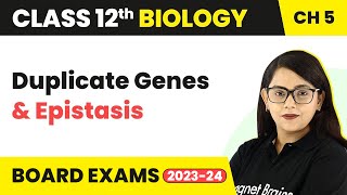 Class 12 Biology Ch 5  NonAllelic Gene Interaction  Duplicate Genes amp Epistasis CBSENEET 202223 [upl. by Bates]