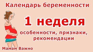 1 неделя беременности особенности признаки рекомендации [upl. by Aubin]