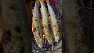 鮎を焼いてみた🔥I tried grilling sweetfish 🔥asmr 鮎 sweetfish [upl. by Karlis]