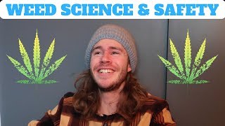 HOW DOES MARIJUANA WORK [upl. by Hardy599]