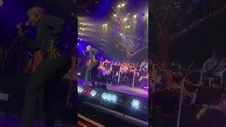 Young Stunna performs “Adiwele” at Kabza De Smalls Red Bull Symphonic Orchestra [upl. by Cecilla]