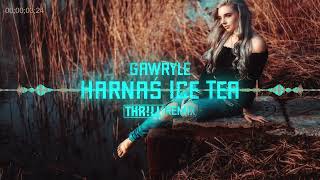 Gawryle  Harnaś Ice Tea THRLL REMIX 2022 [upl. by Adnoma]