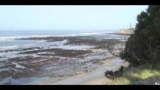 Tsunami March 11 2011 at Bowling Ball Beach Mendocino County [upl. by Ennazor]