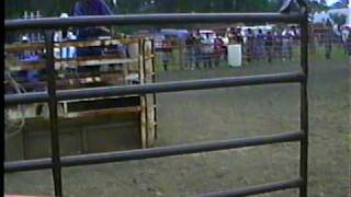 BLACK COWBOYS roping and riding in St Louis City Missouri [upl. by Renelle513]