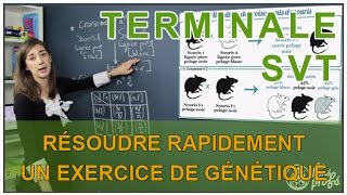 Résoudre rapidement un exercice de génétique  SVT Terminale S  Les Bons Profs [upl. by Akimahs878]