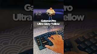 Gateron Pro Ultra Glory Yellow switch sound test keyboard banphimco switchreview [upl. by Gruber]