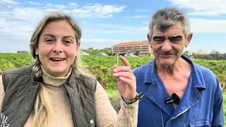 El sabor de Extremadura que buscan los mejores chef 🧑‍🍳 del mundo 🌍 [upl. by Arahsak876]