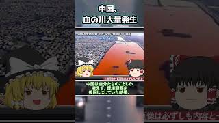 中国で血の川大量発生？！経済発展を優先し環境汚染を推し進めた結果www【ゆっくり解説】shorts [upl. by Osicran895]