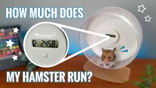 Niteangel Wheel Pedometer Review  Unboxing [upl. by Etteyafal923]