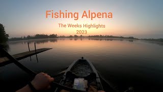 River Fishing Alpena Michigan Catching Smallmouth Bass [upl. by Naor]