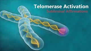 𝄞 Telomerase Activation  Telomere Rejuvenation for Eternal Youth V21  Classical Music [upl. by Yebba475]