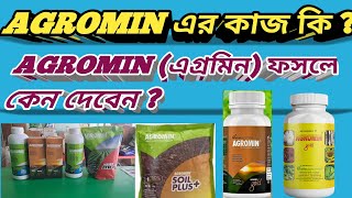 AGROMIN এর কাজ কি।।AGROMIN ফসলে কেন দেবেনagriculture viralvideo farmar farming চাষবাস [upl. by Jacobah]