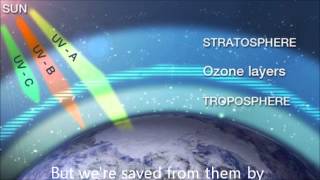 Electromagnetic Spectrum Science Song [upl. by Ailecec]