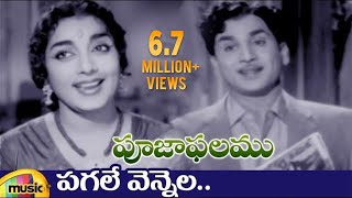 ANR Hits  Pooja Phalam Movie Songs  Pagale Vennela Video Song  Savitri  Jamuna  Mango Music [upl. by Zaneta]