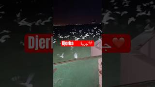 Djerba ❤️ جربة [upl. by Desirae122]