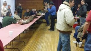 michigan fur sale 414 muskrats [upl. by Alset9]