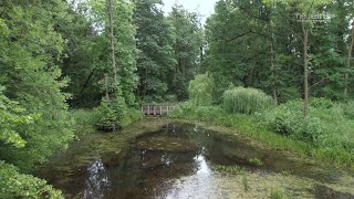 Der revitalisierte Krügerpark in Pasewalk [upl. by Retxed]