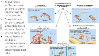 Dr Parkers Microbiology Chapter 17  adaptive immunity [upl. by Othello374]