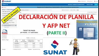 DECLARACION DE PLANILLA Y AFPNET PARTEII [upl. by Ynnav]