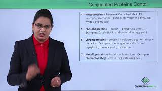 Class10th – Conjugated and Derived Proteins  Biomolecules – Protein  Tutorials Point [upl. by Gardell573]