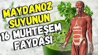 Maydanoz Suyunun Sağlığa 16 Muhteşem Faydası [upl. by Naved]