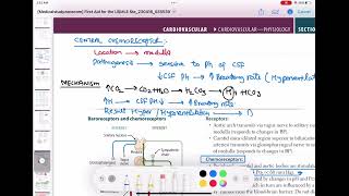 chemoreceptors peripheral and central cardiology 47  First Aid USMLE Step 1 in UrduHindi [upl. by Roberta]