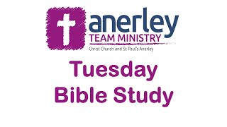 Tuesday Bible Study  01102024 [upl. by Hcelemile]