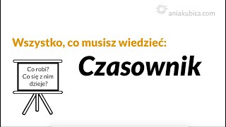 Czasownik i jego odmiana koniugacja [upl. by Colburn125]