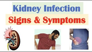 Kidney Infection Pyelonephritis Signs amp Symptoms  amp Why They Occur [upl. by Ecikram]