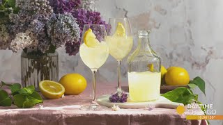 Unique Limoncello Cocktails Transporting You To Italy [upl. by Ewolram]