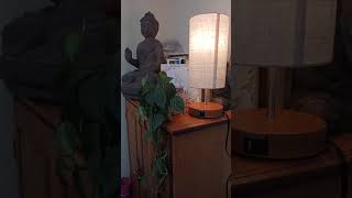 How to Choose the Perfect Cordless Table Lamp for Your Living Room [upl. by Puna]