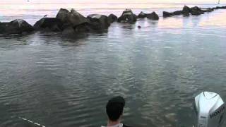 Jacksonville Jetty fishing Mayport [upl. by Anirav]